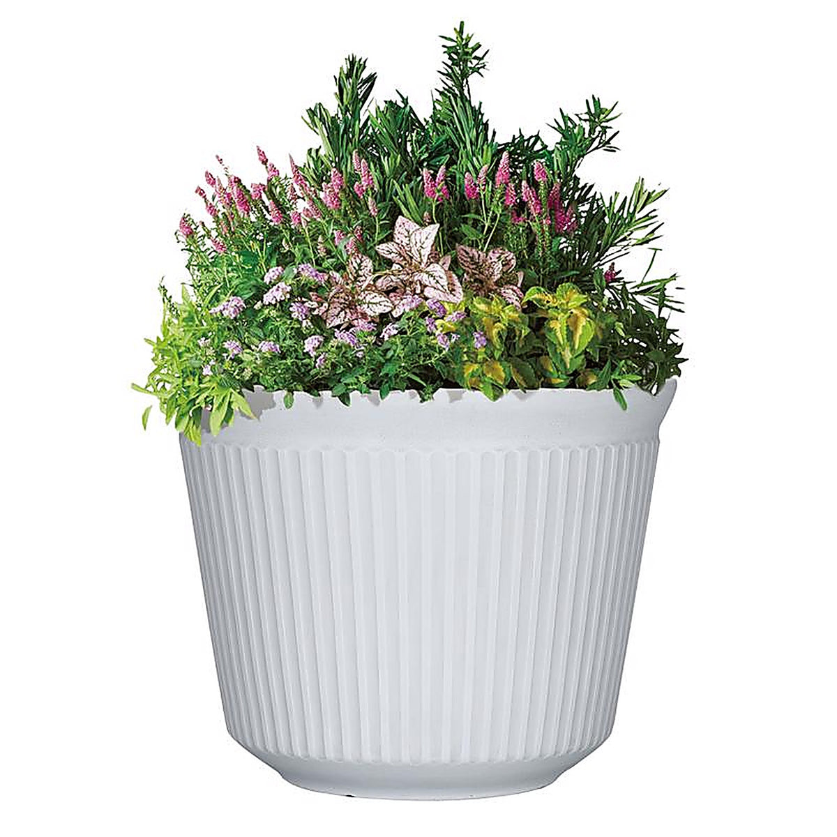 L&G Solutions - PVJ5012TWJ - L&g 9.33 In. H X 12 In. W X 12 In. D X 12 In. D Polyresin Finola Planter White