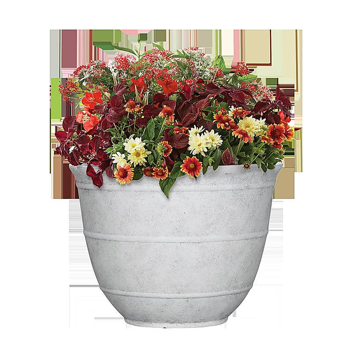 L&G Solutions - PVJ6312SWJ - L&g 9 In. H X 12 In. W X 12 In. D X 12 In. D Polyresin Brighton Planter White