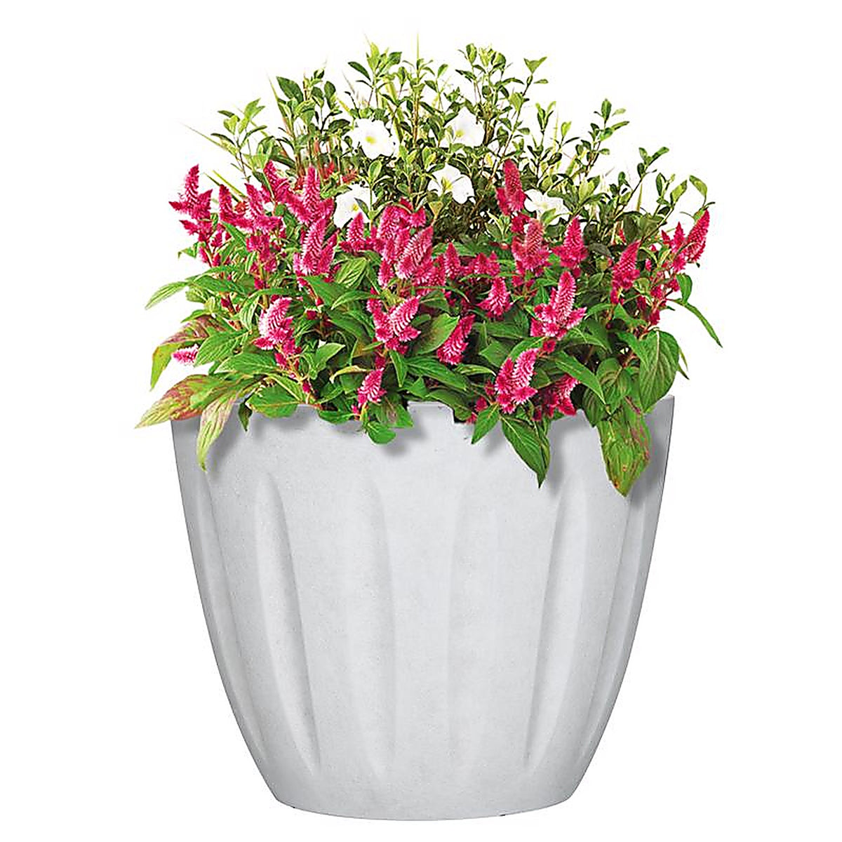 L&G Solutions - PVI8016TWJ - L&g 12.8 In. H X 16 In. W X 16 In. D X 16 In. D Polyresin Spritzer Planter White