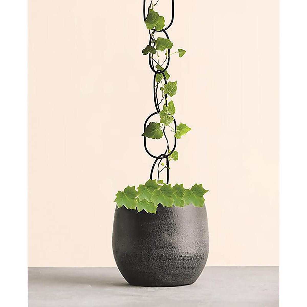 Living Accents - 58070 - Black Iron 44 In. H Extender Chain 1 Pack