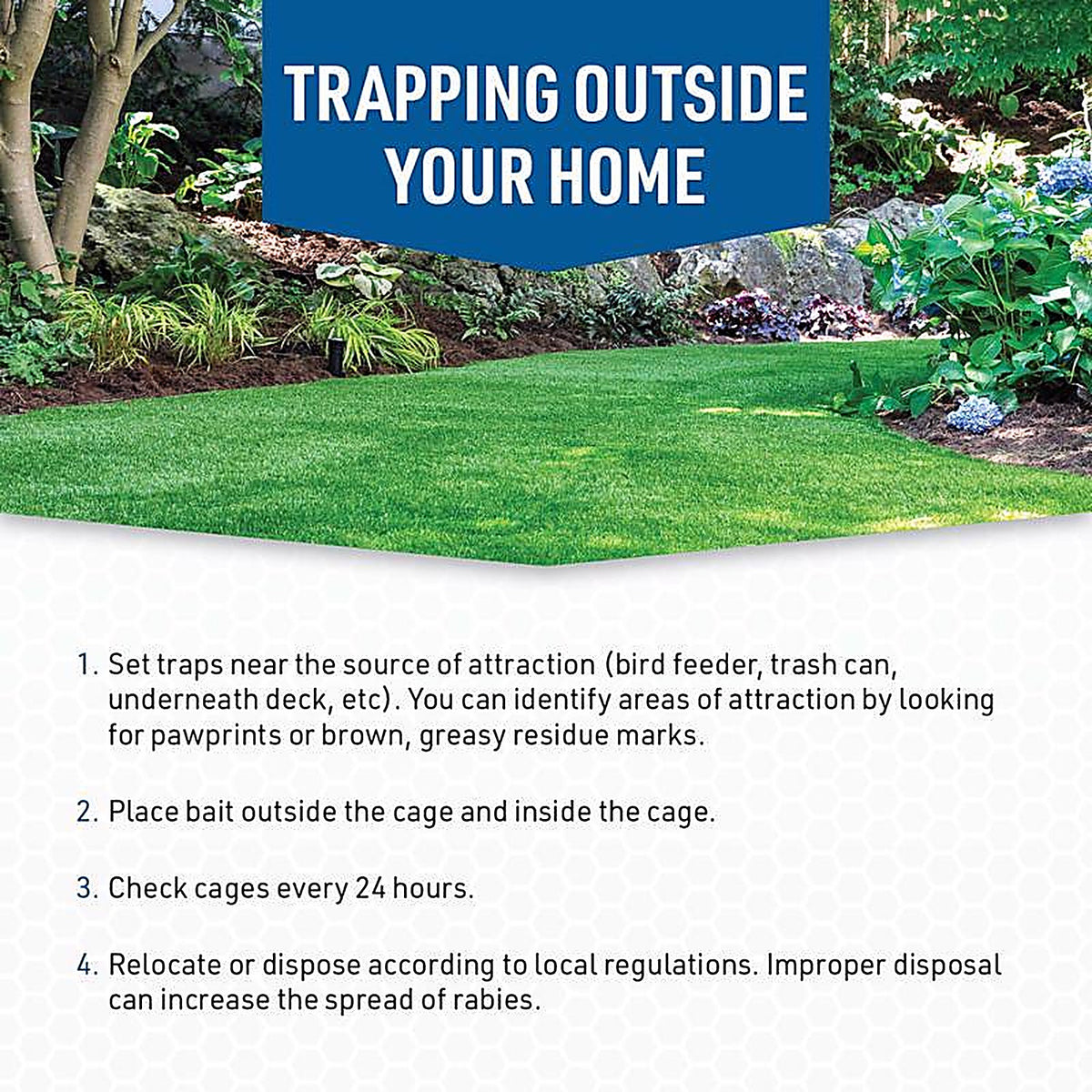 JT Eaton - 465COV-FOR - Answer Medium Live Catch Animal Trap Cover for Rabbits and Skunks 1 Pack
