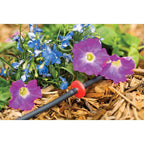 Rain Bird - ILD0510PKX - Spot Drip Irrigation In-Line Dripper 0.5 GPH 10 Pack