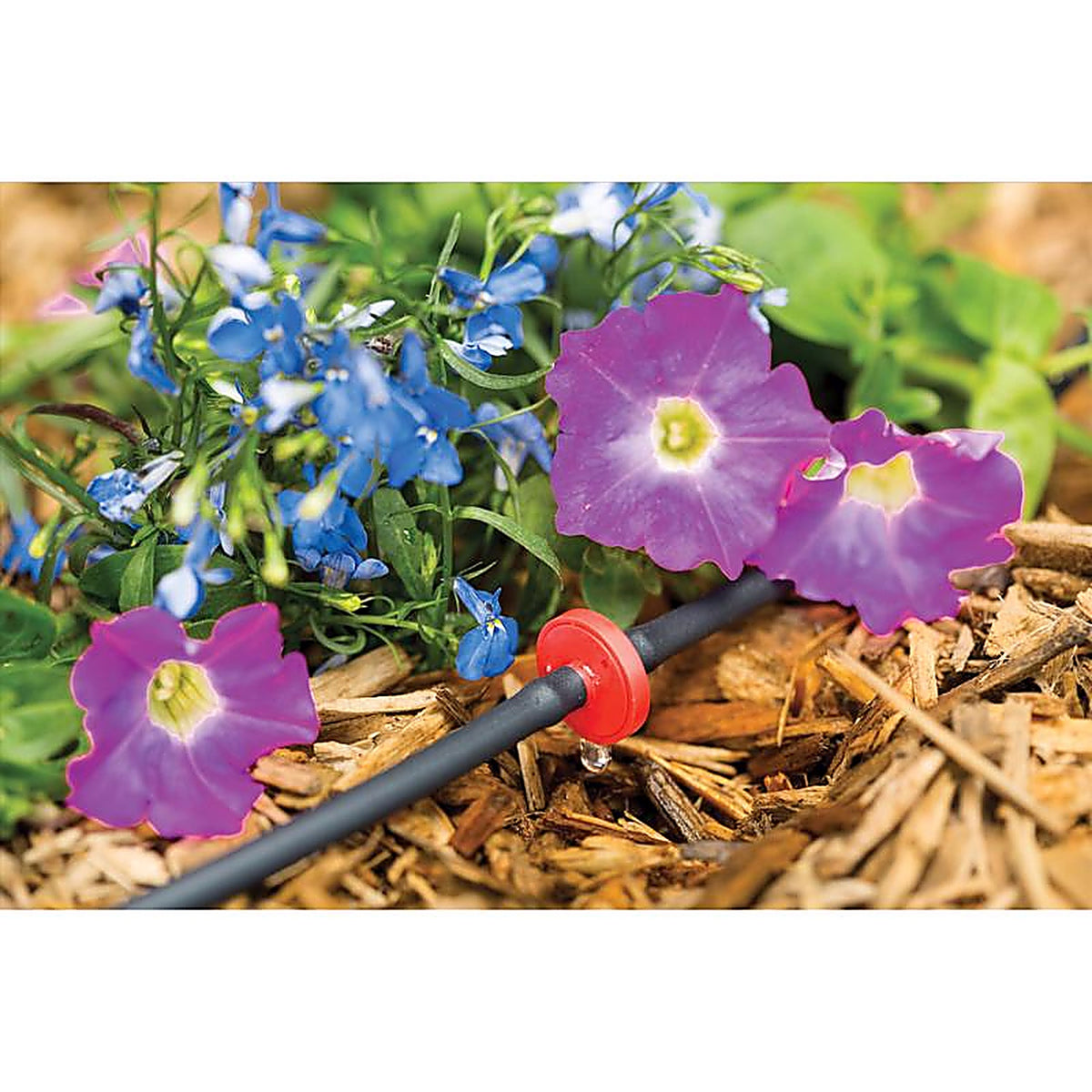 Rain Bird - ILD0510PKX - Spot Drip Irrigation In-Line Dripper 0.5 GPH 10 Pack