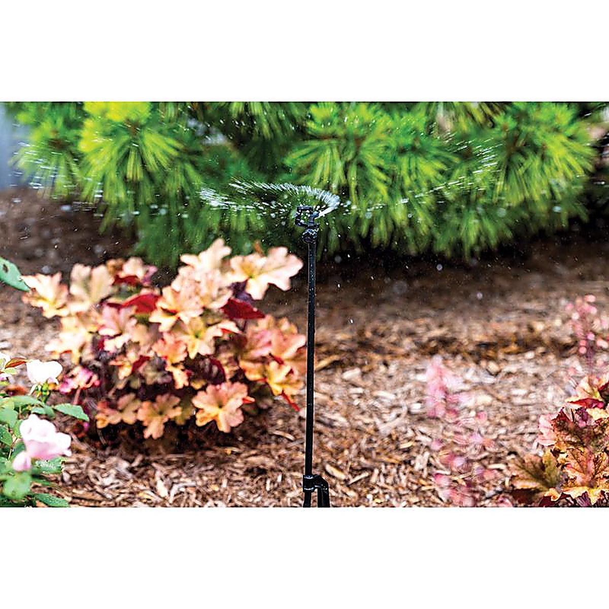 Rain Bird - RSSTKX - Full-Circle Drip Irrigation Micro Sprinkler 26 GPH 1 Pack