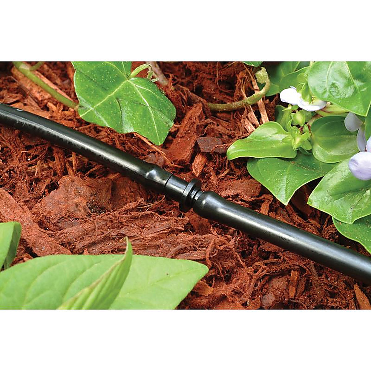 Rain Bird - BC25-100 - 1/4 In. Barbed Drip Irrigation Coupler 1 Pack