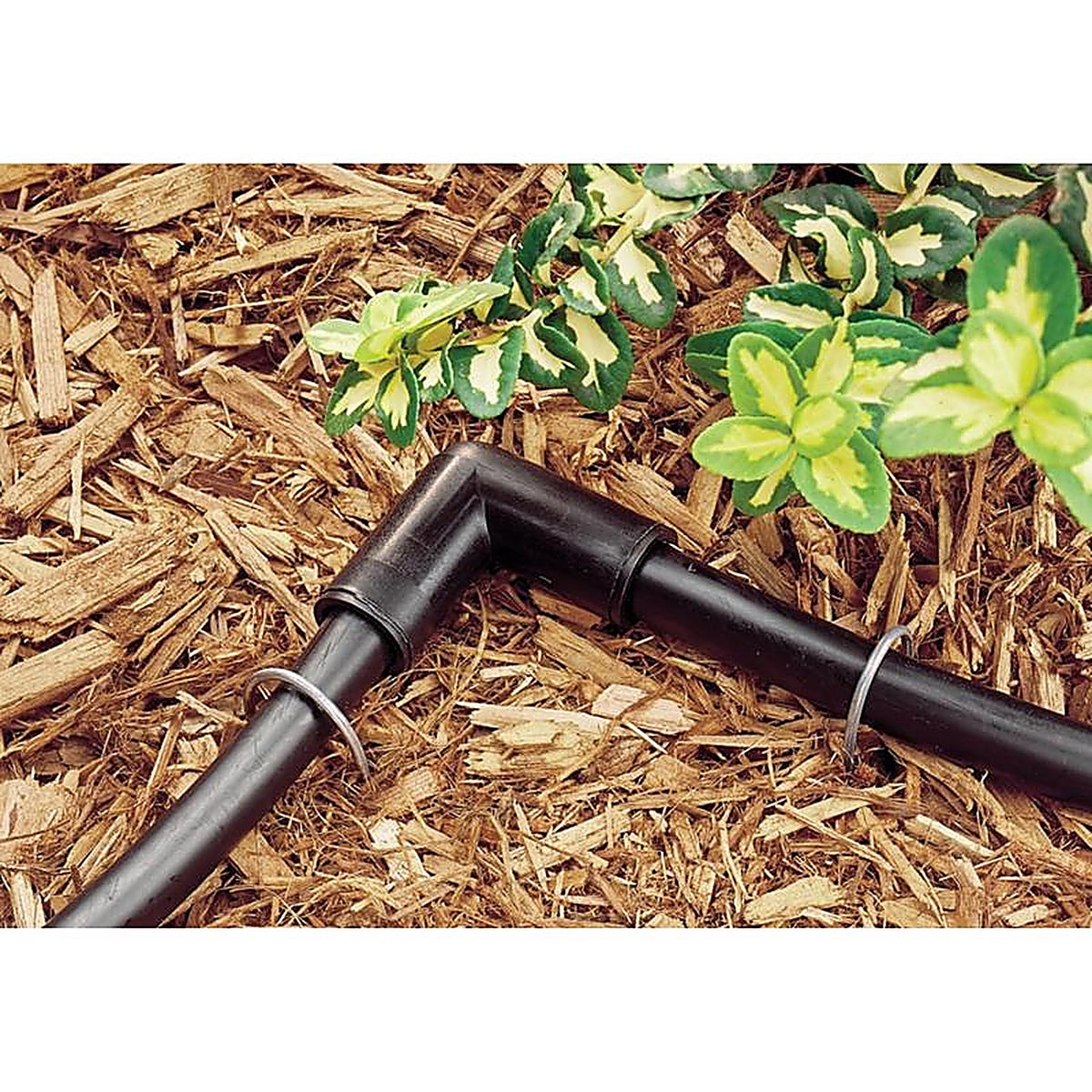 Rain Bird - T22-500SX - Polyethylene Drip Irrigation Tubing 1/4 In. D X 500 Ft. L