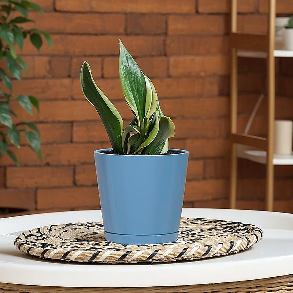 L&G Solutions - PVH9106PBK - 5.7 In. H X 6 In. W X 6 In. D X 6 In. D Resin Planter Blue