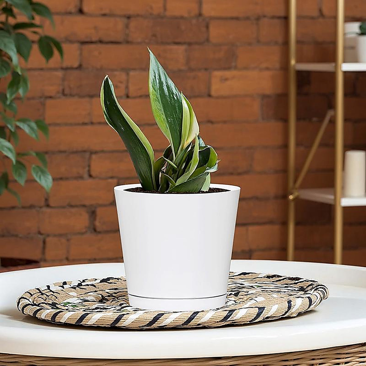 L&G Solutions - PVH9106PWK - 5.7 In. H X 6 In. W X 6 In. D X 6 In. D Resin Planter White