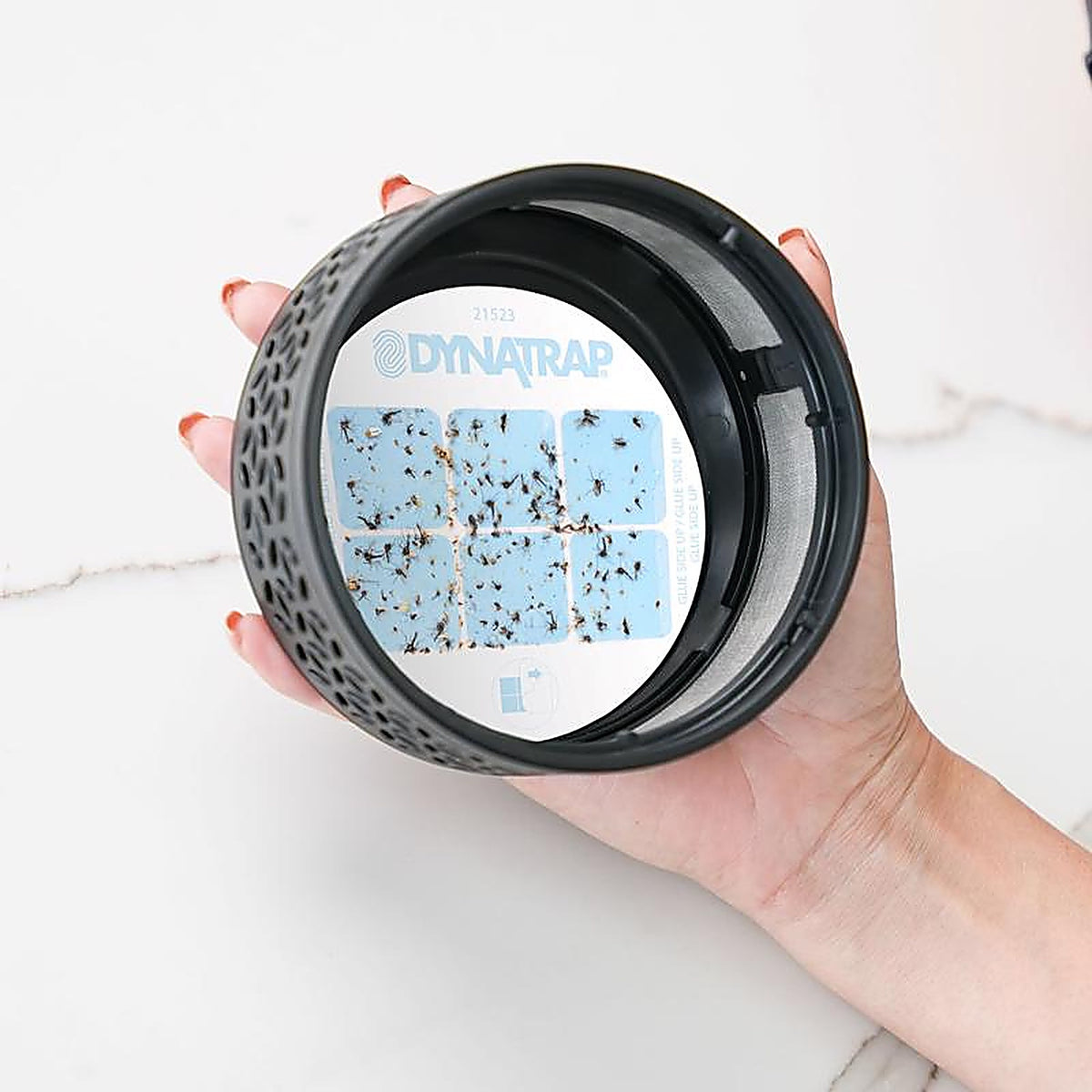 Dynatrap - 21523 - Insect Trap