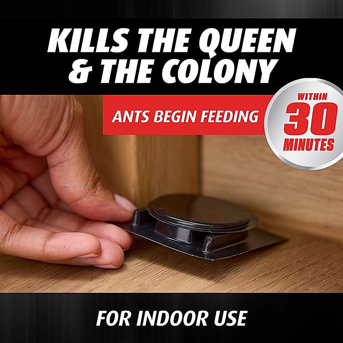 Ortho - 4662205 - Orthene Ant Bait