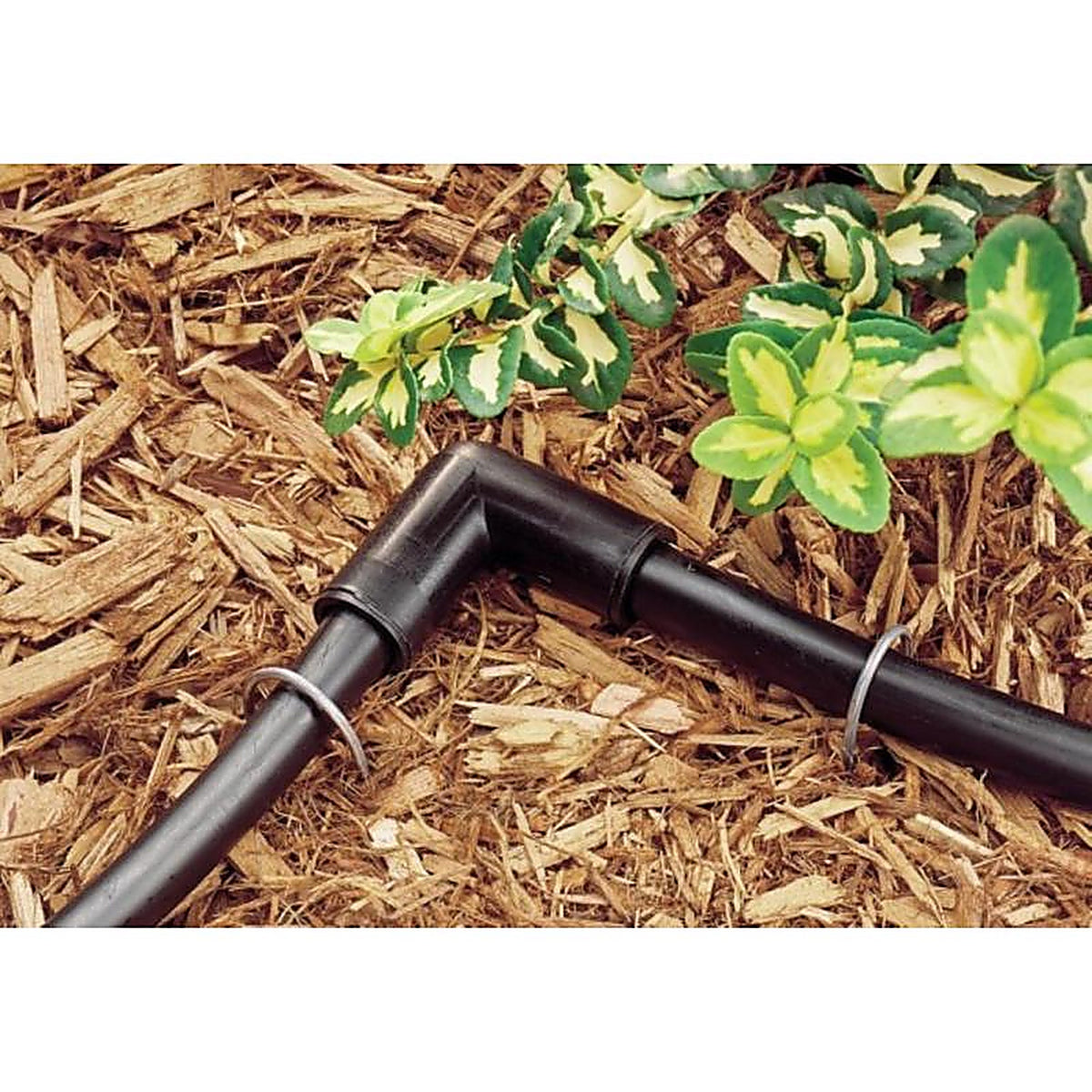 Rain Bird - T70-100S - Polyethylene Drip Irrigation Tubing 0.7 In. D X 100 Ft. L