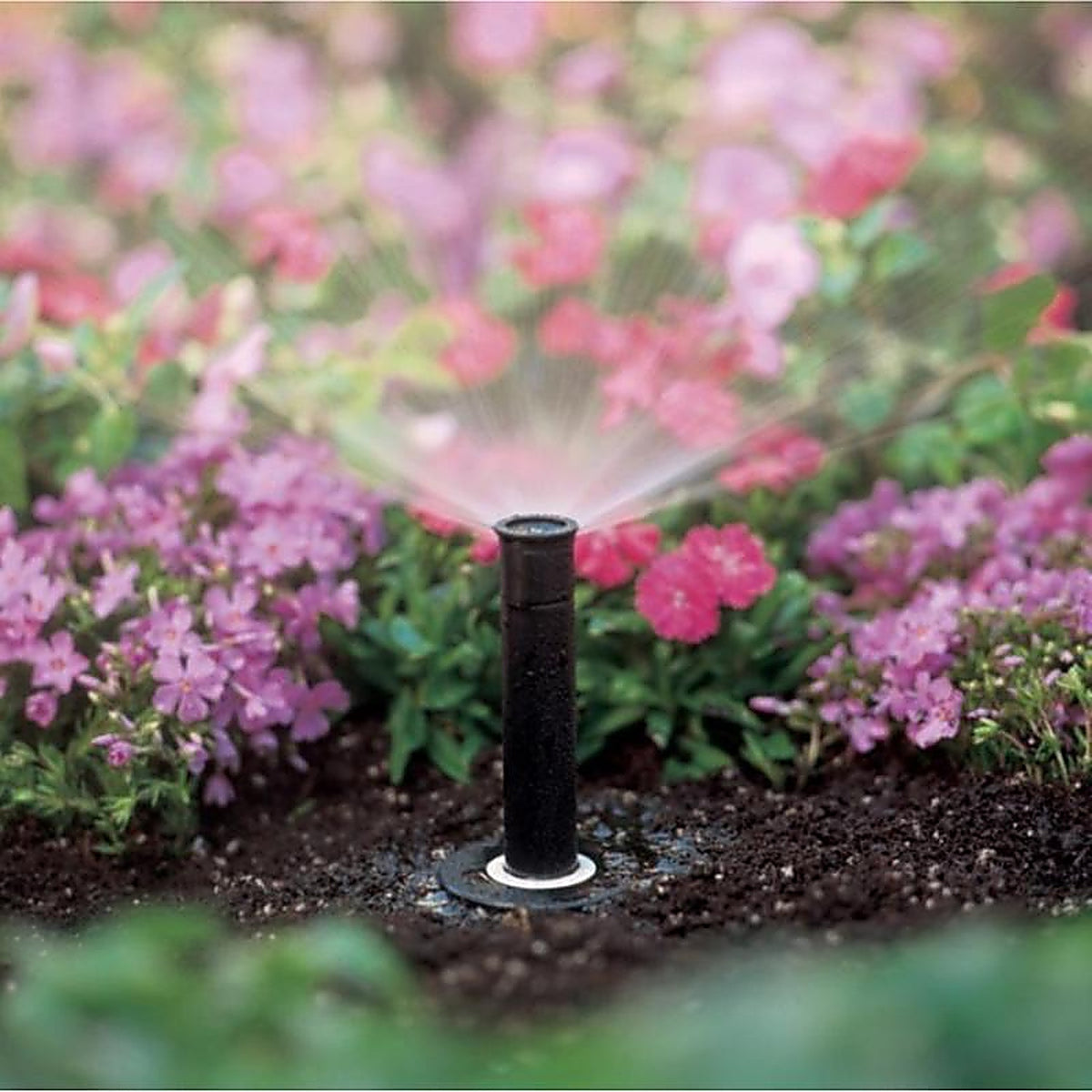 Rain Bird - 1804APPR25SAM - 4 In. H Adjustable Pop-Up Spray Head