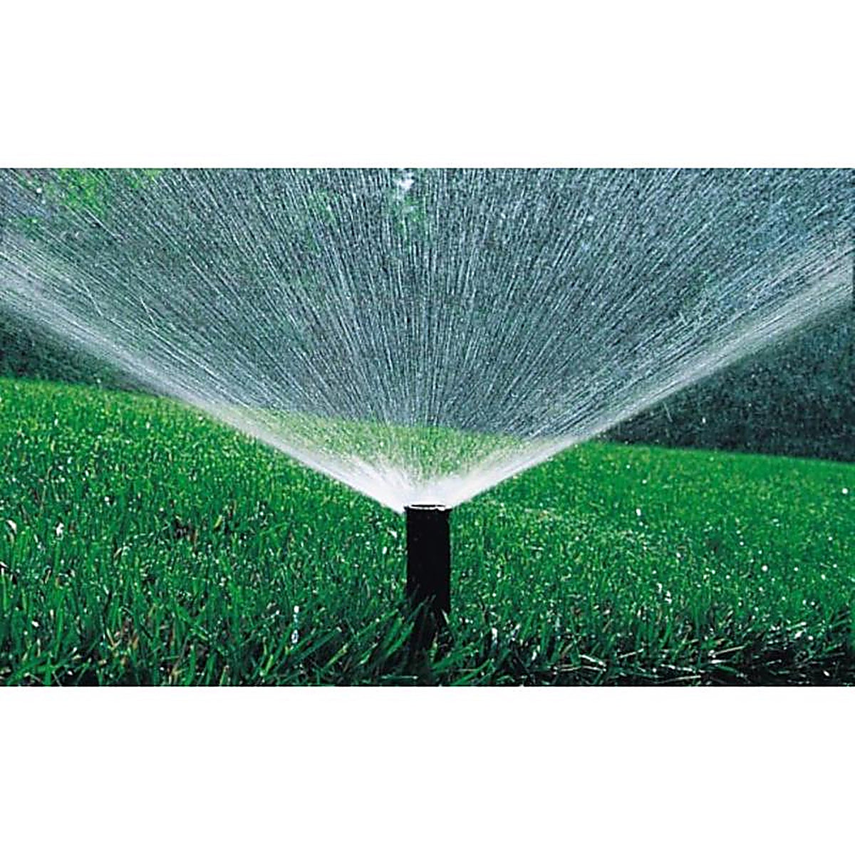 Rain Bird - 1804AP4SAMPRS - 4 In. H Adjustable Pop-Up Spray Head