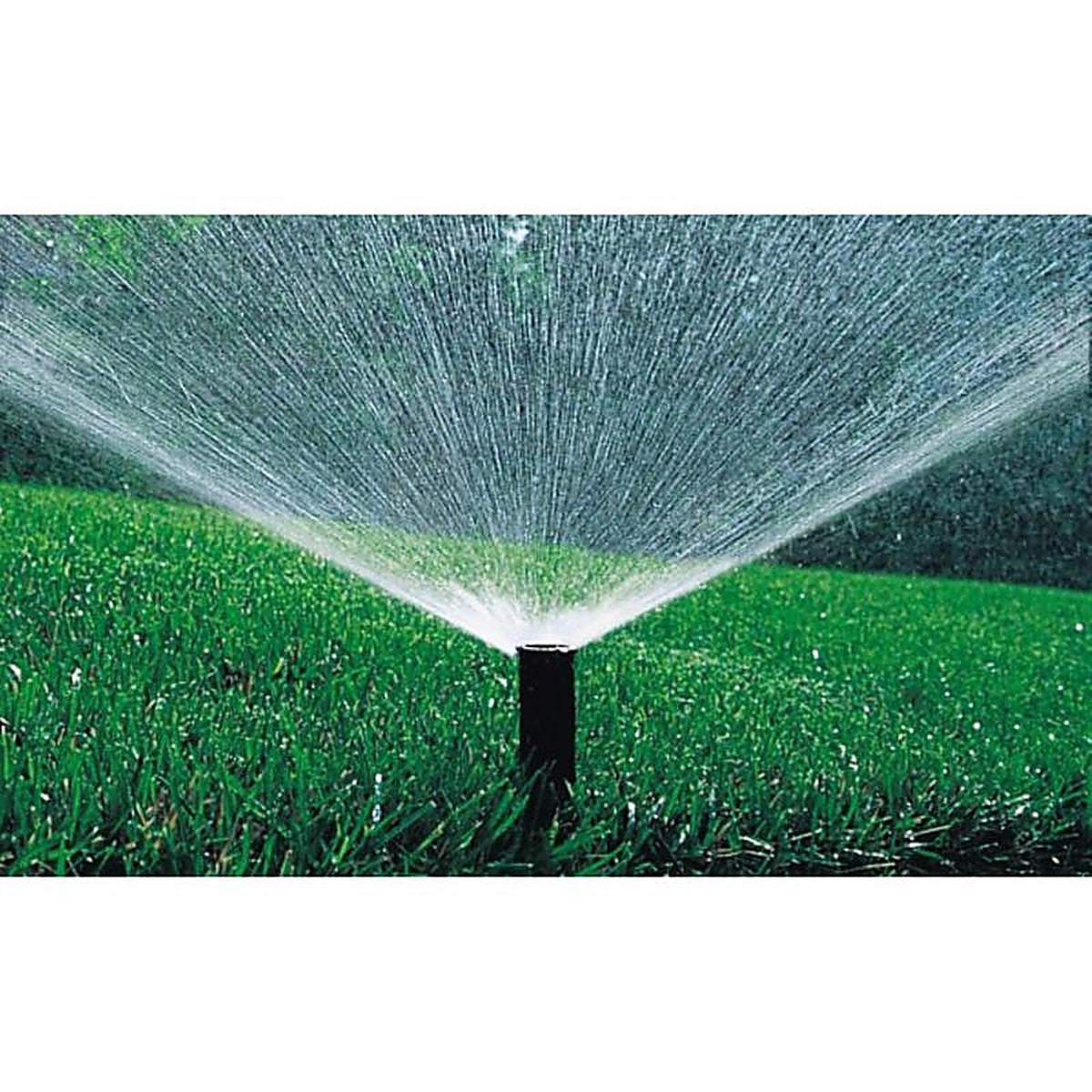 Rain Bird - 1804AP8SAMPRS - 4 In. H Adjustable Pop-Up Spray Head