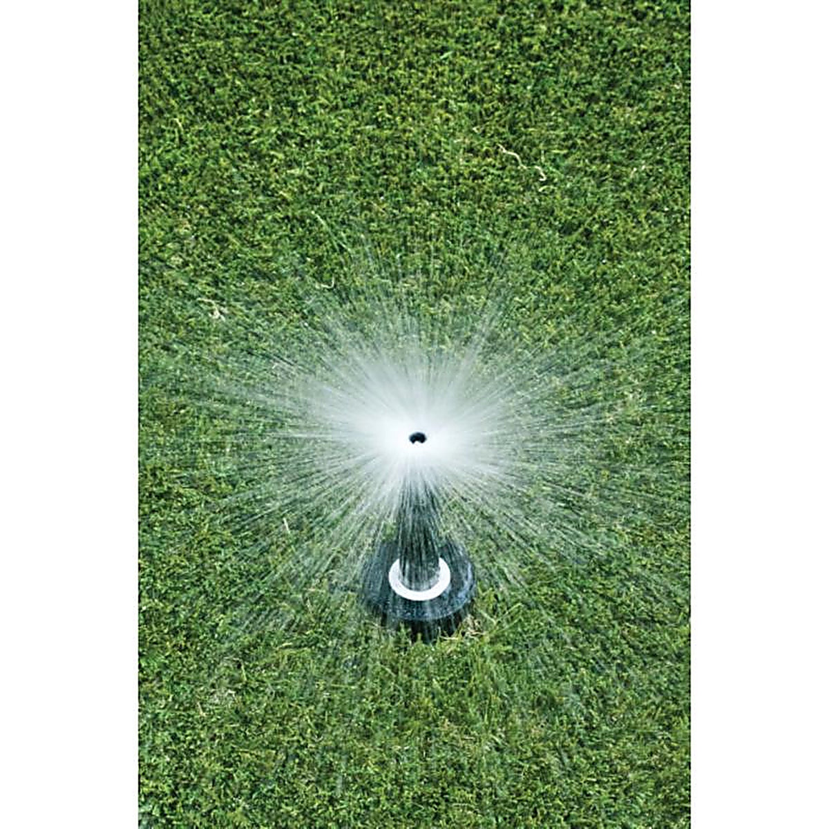 Rain Bird - 1804FDSPSAM25 - 4 In. H Full-Circle Pop-Up Spray Head