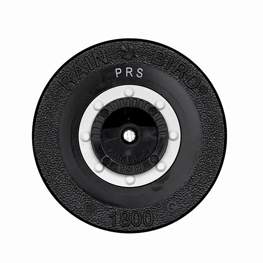 Rain Bird - 1806APSAMPRS - 6 In. H Adjustable Pop-Up Spray Head