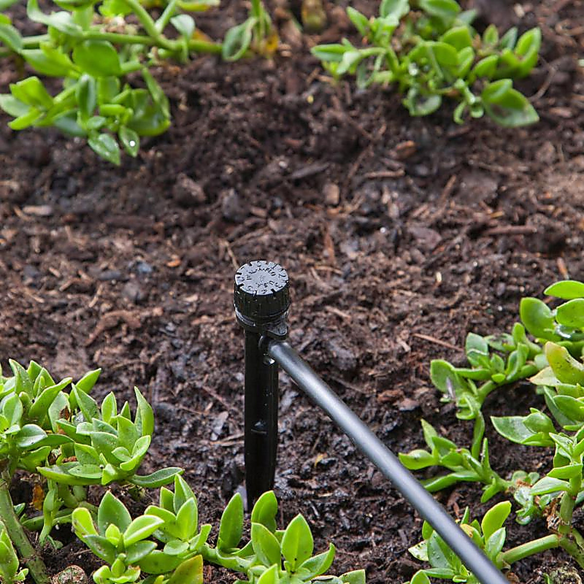 Raindrip R156CT Full-Circle Drip Irrigation Bubbler 13 gph
