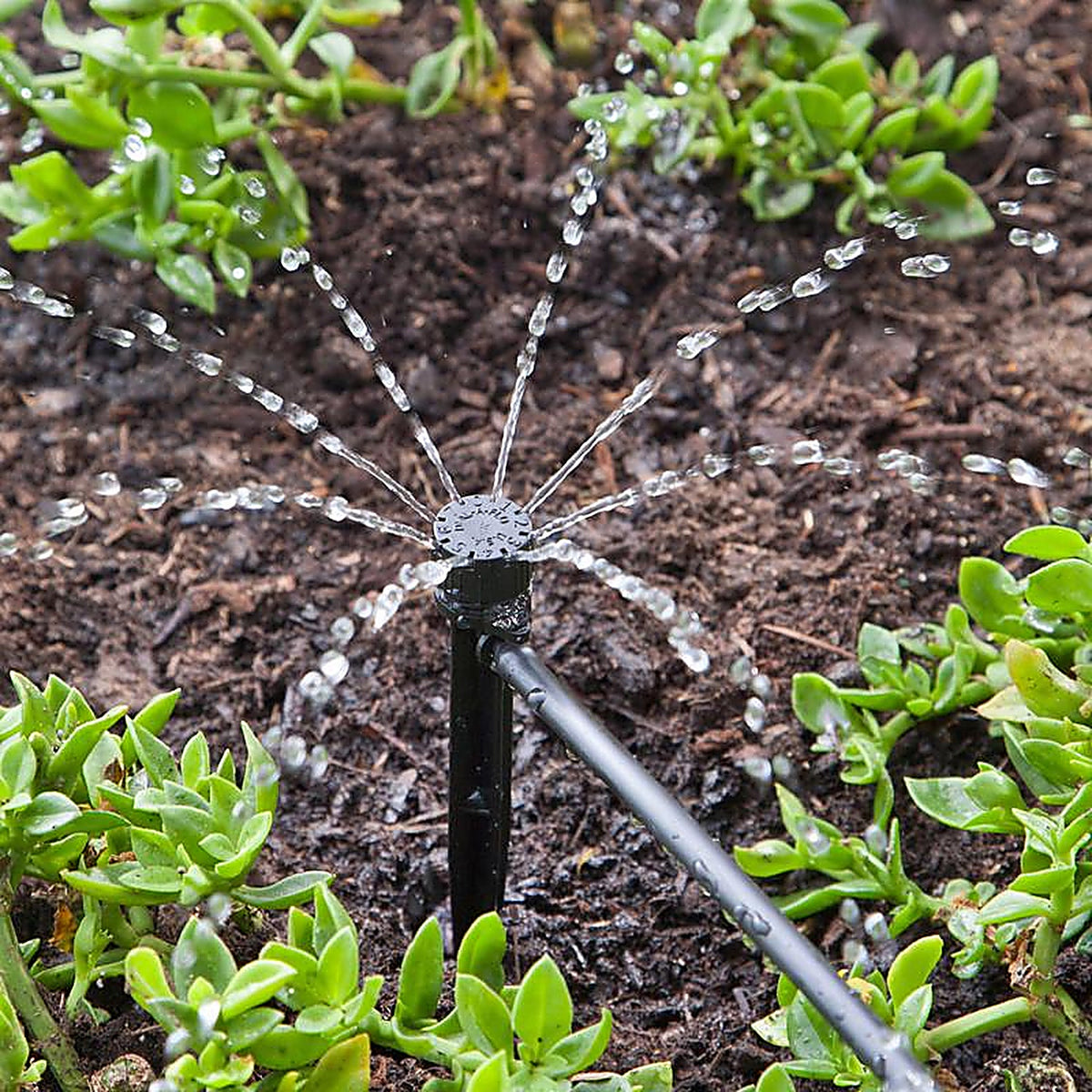 Raindrip R156CT Full-Circle Drip Irrigation Bubbler 13 gph