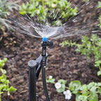 Raindrip A187010B Half-Circle Drip Irrigation Micro Spray 20 gph