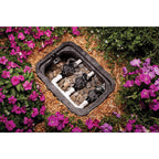 Rain Bird CP-075 Female In-Line Valve 3/4 in. 150 psi