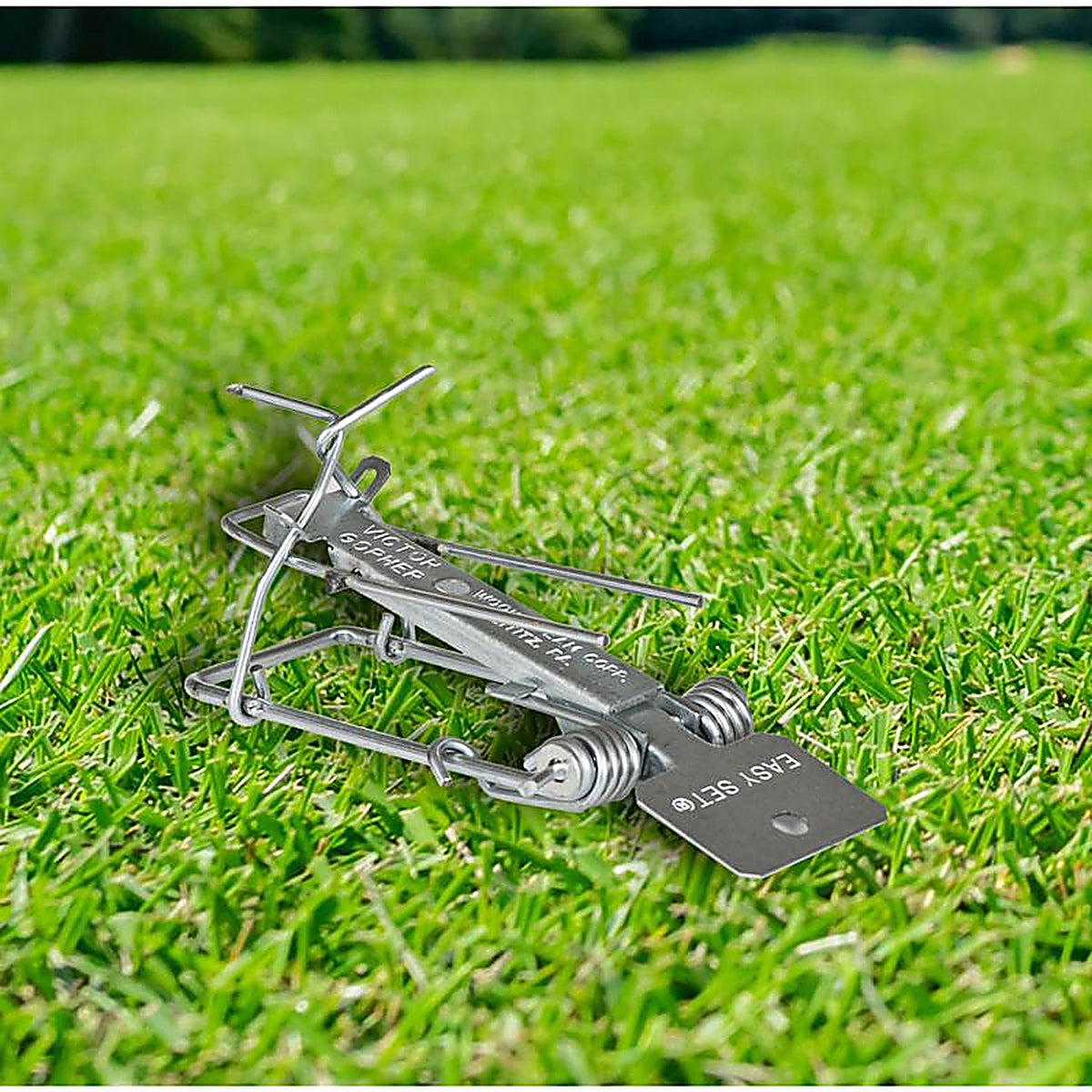 VICTOR 0610 Victor Pincher Animal Trap For Gophers 1 pk