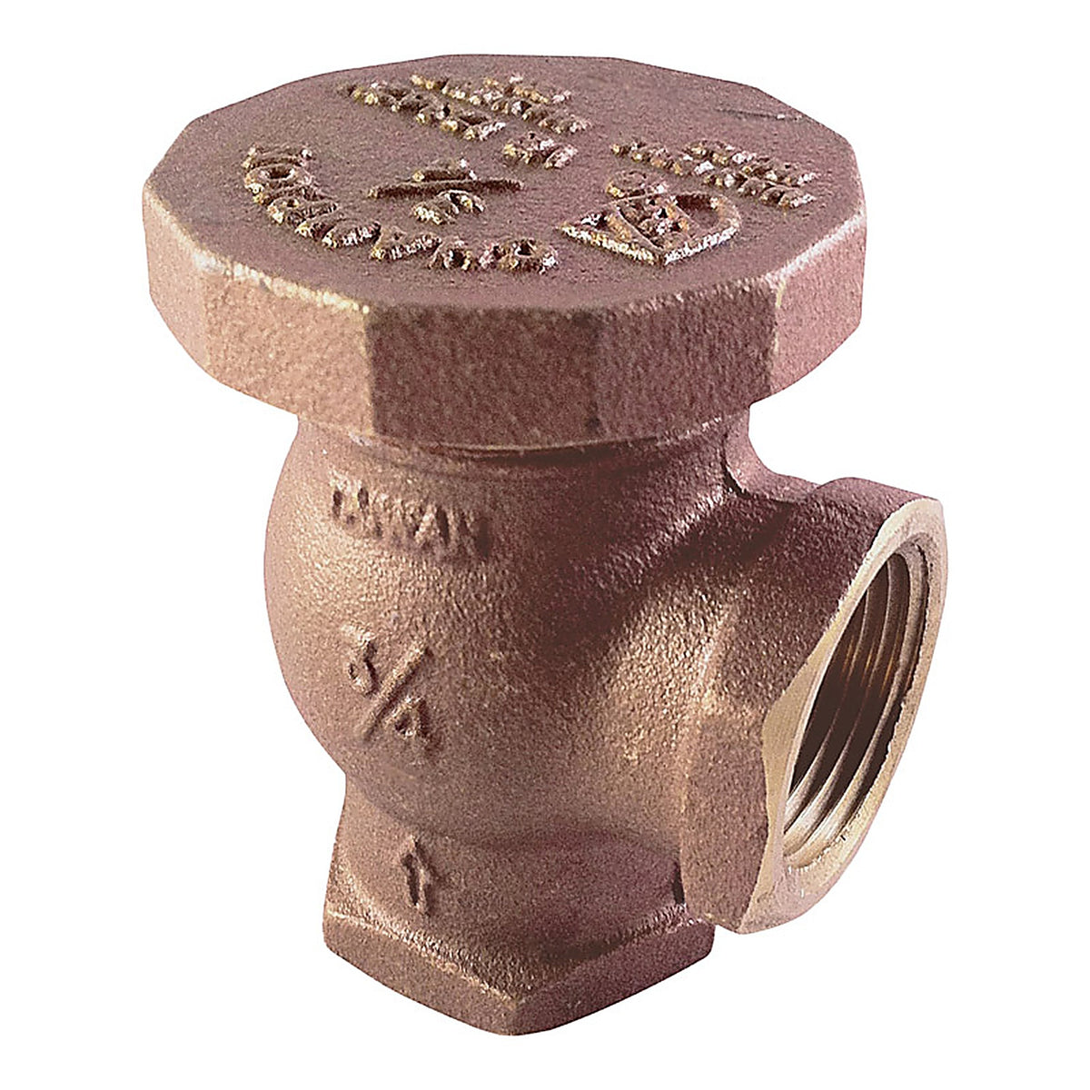 Champion 262-075Y Angle Valve 3/4 in. 150 psi