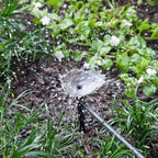 Raindrip R153CT Full-Circle Drip Irrigation Bubbler 24 gph