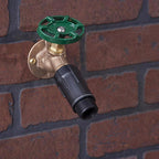 Raindrip R463CT Drip Irrigation Pressure Regulator 1/Pack