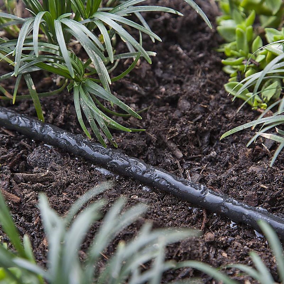 Raindrip 015005T Polyethylene Drip Irrigation Soaker Tubing 1/4 in. Dia. x 50 ft. L