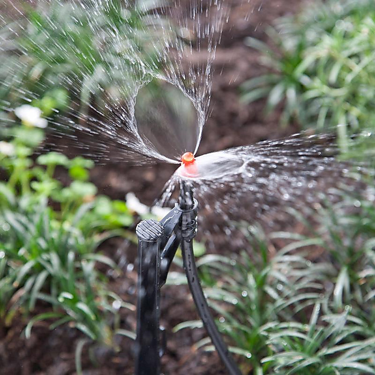 Raindrip P1075UB Full-Circle Drip Irrigation Sprinkler Head 31.4 gph