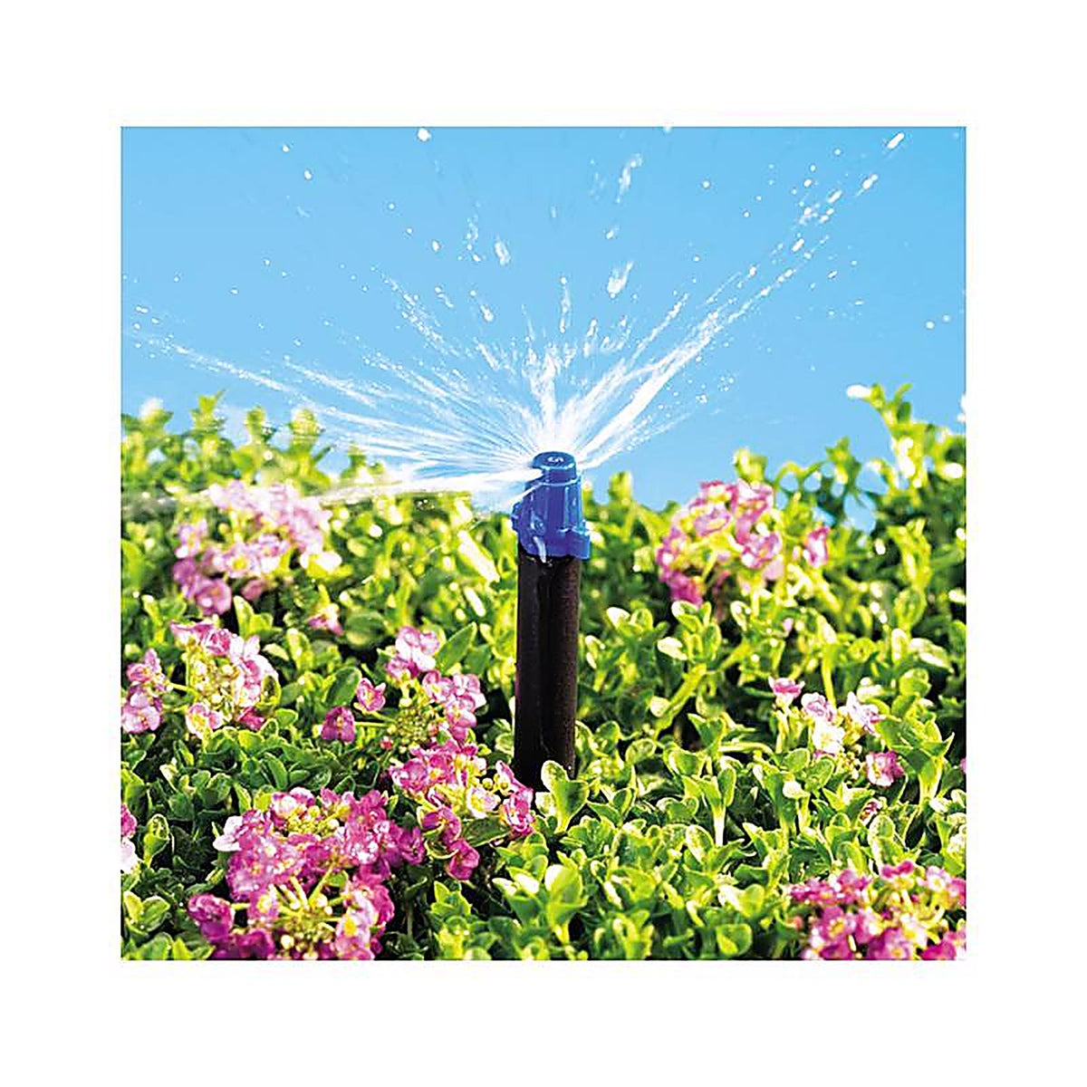 Raindrip 180JET010B Half-Circle Drip Irrigation Micro Spray 13 gph