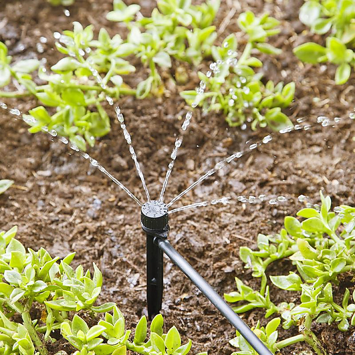 Raindrip 15500UB Half-Circle Drip Irrigation Bubbler 20 gph