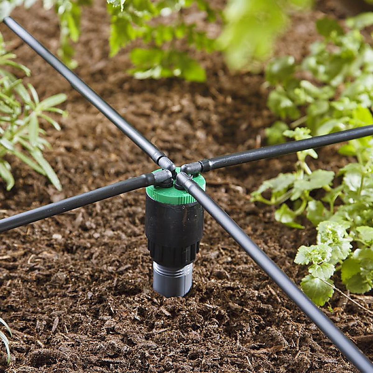 Raindrip QB20UB Spot Drip Irrigation Bubbler 20 gph