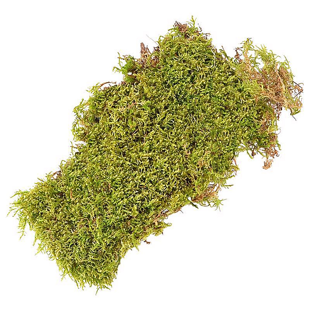 Mosser Lee ML0460 Organic Green Sheet Moss 325 sq in
