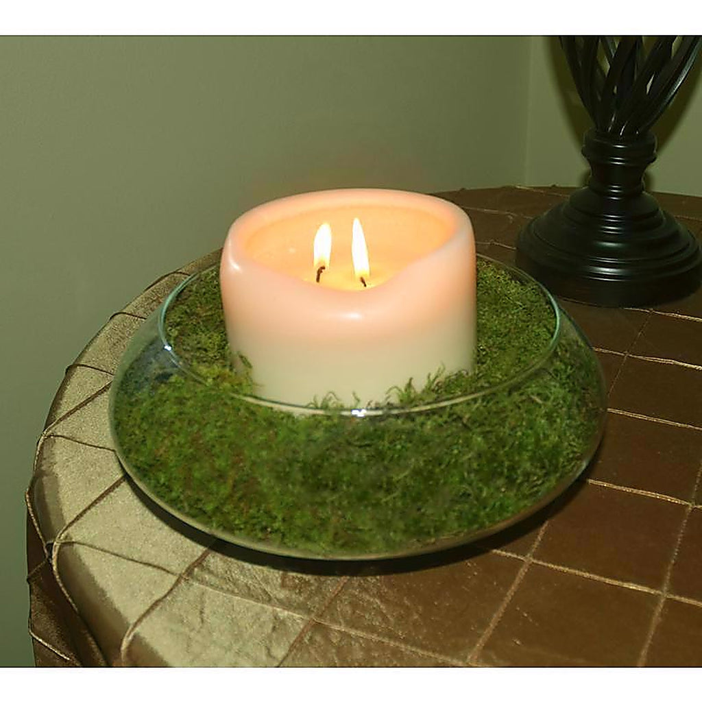 Mosser Lee ML0460 Organic Green Sheet Moss 325 sq in