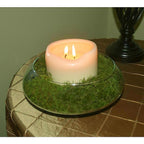 Mosser Lee ML0460 Organic Green Sheet Moss 325 sq in