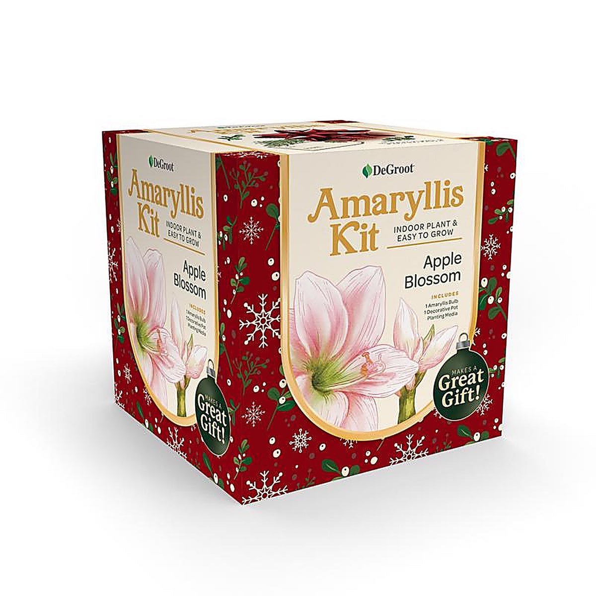 Degroot - AY912A00 - Amaryllis Gift Box Bulb Kit 1 Pack