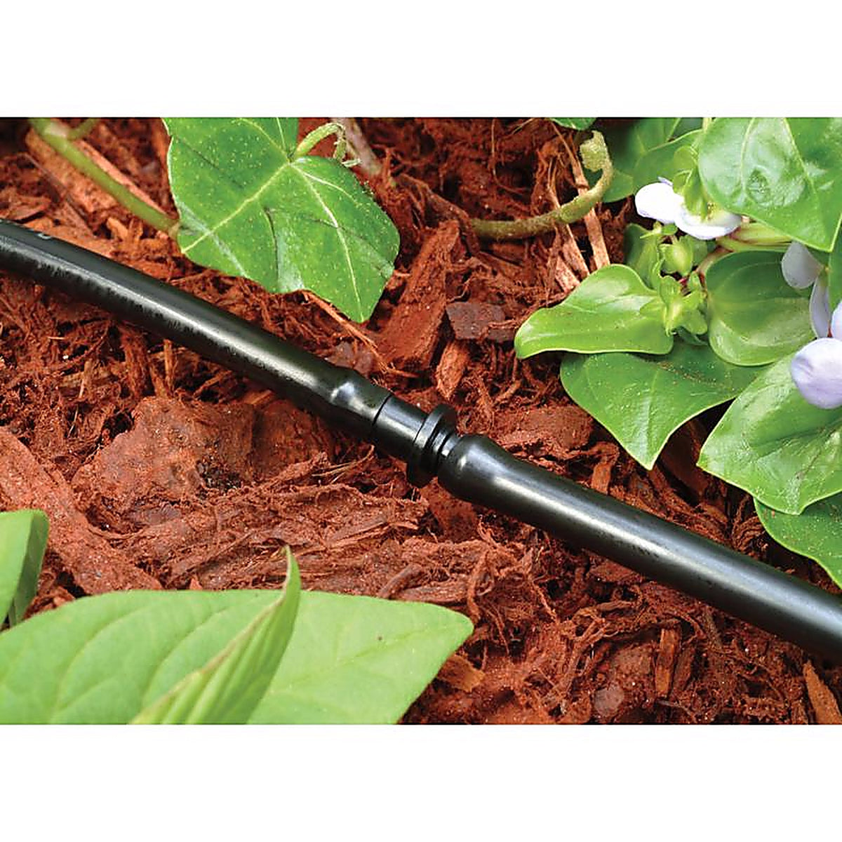 Rain Bird - BC25/10PS - 1/4 In. Barbed Drip Irrigation Coupler 10 Pack