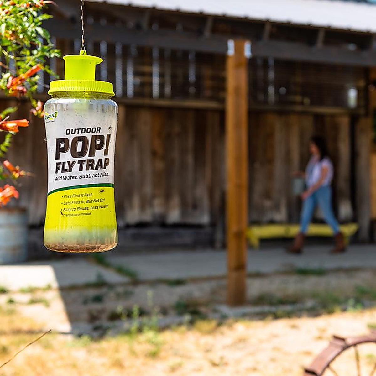 RESCUE PFTR-BB4 POP Fly Trap 1 pk