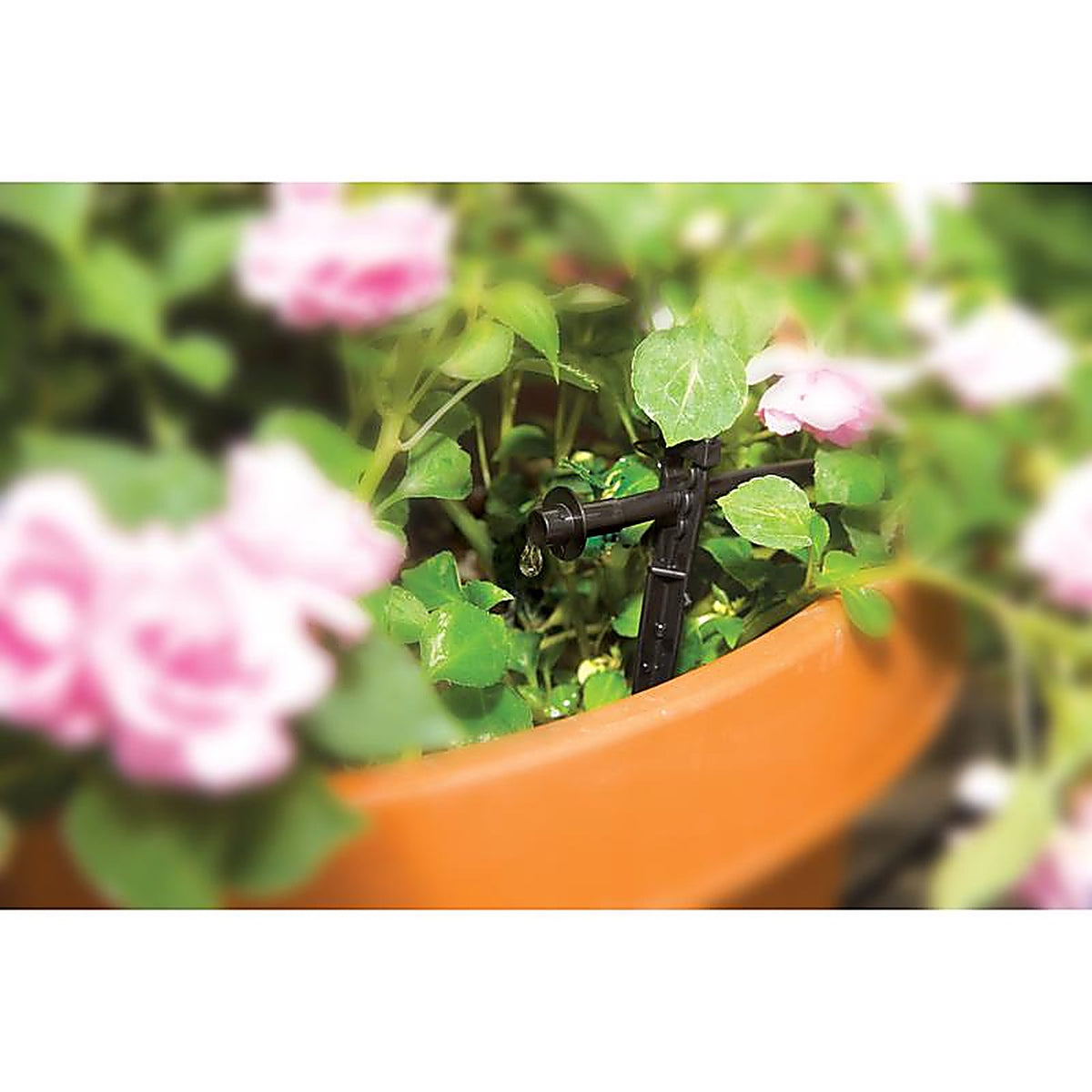 Rain Bird - PATIOKIT - Drip Irrigation Plant Watering Kit