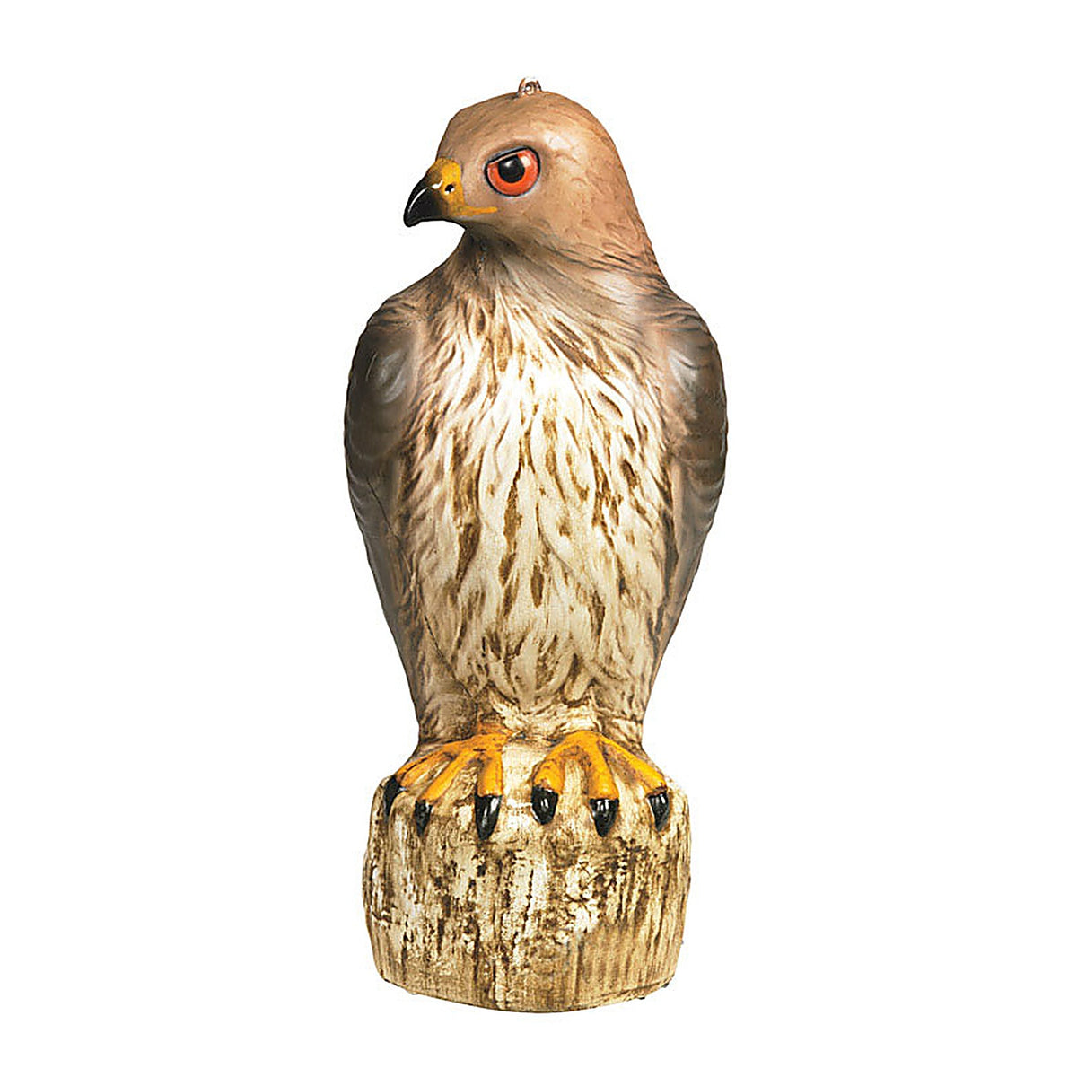 Bird-B-Gone MMRTH1 Bird Deterrent Decoy For Red Tailed Hawks