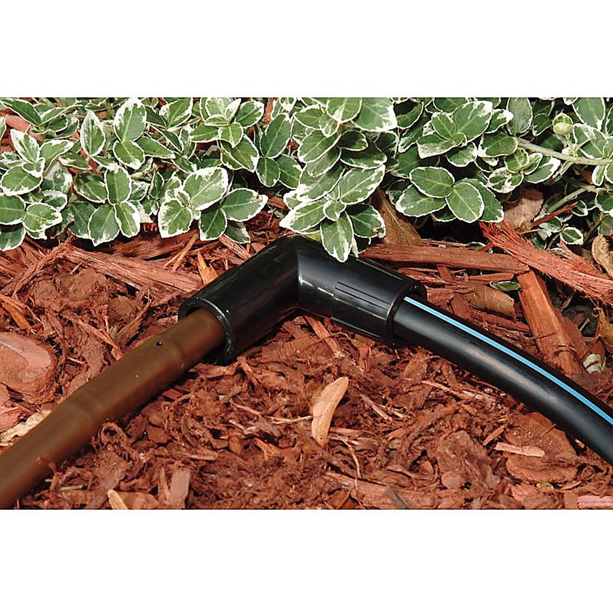 Rain Bird - EFE25-1PS - 1/2 In. Push-Fit Drip Irrigation Elbow 1 Pack