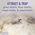 Terro - T2900 - Pantry Moth Trap 2 Pack
