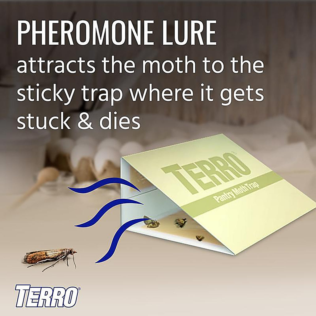 Terro - T2900 - Pantry Moth Trap 2 Pack