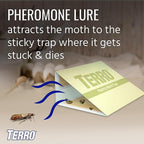 Terro - T2900 - Pantry Moth Trap 2 Pack