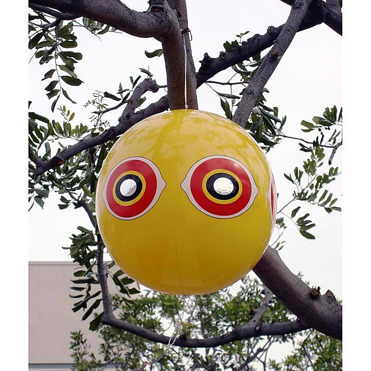 Bird-B-Gone MMSEB Bird Repelling Balloon For Assorted Species 1 pk