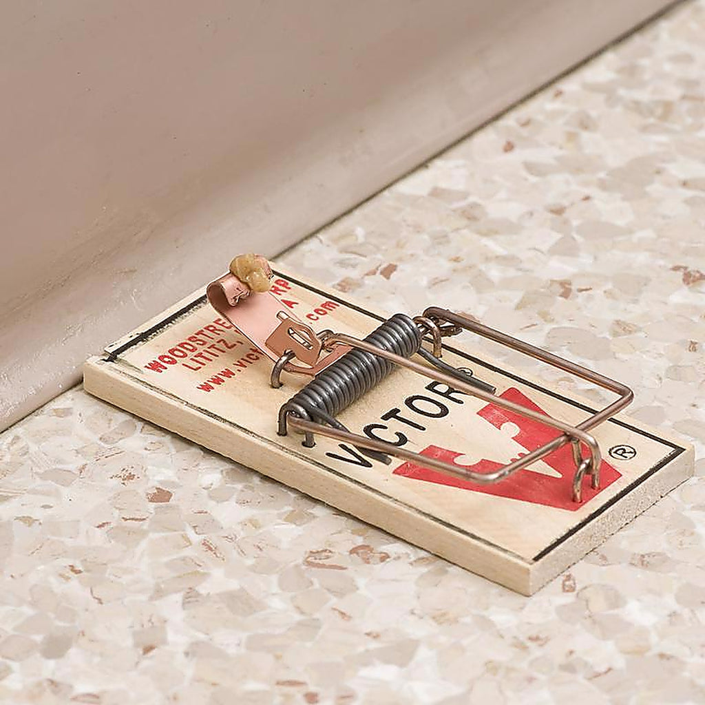 Victor M040 Snap Trap For Mice 1 pk