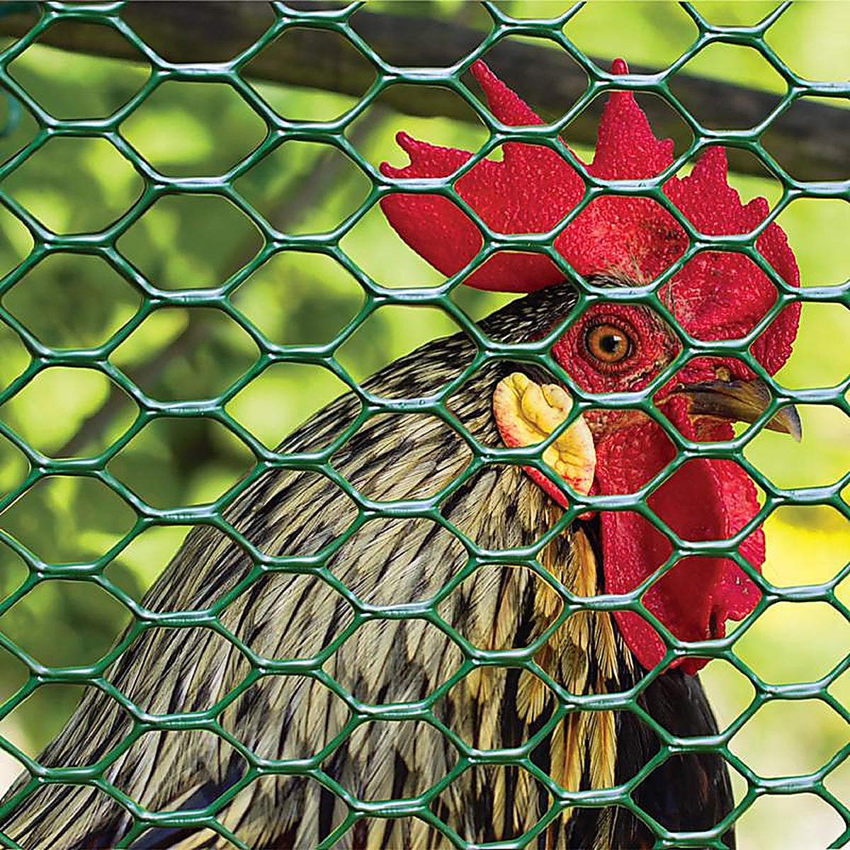 Tenax 72120942 2 ft. H x 25 ft. L 20 Ga. Green Poultry Fence