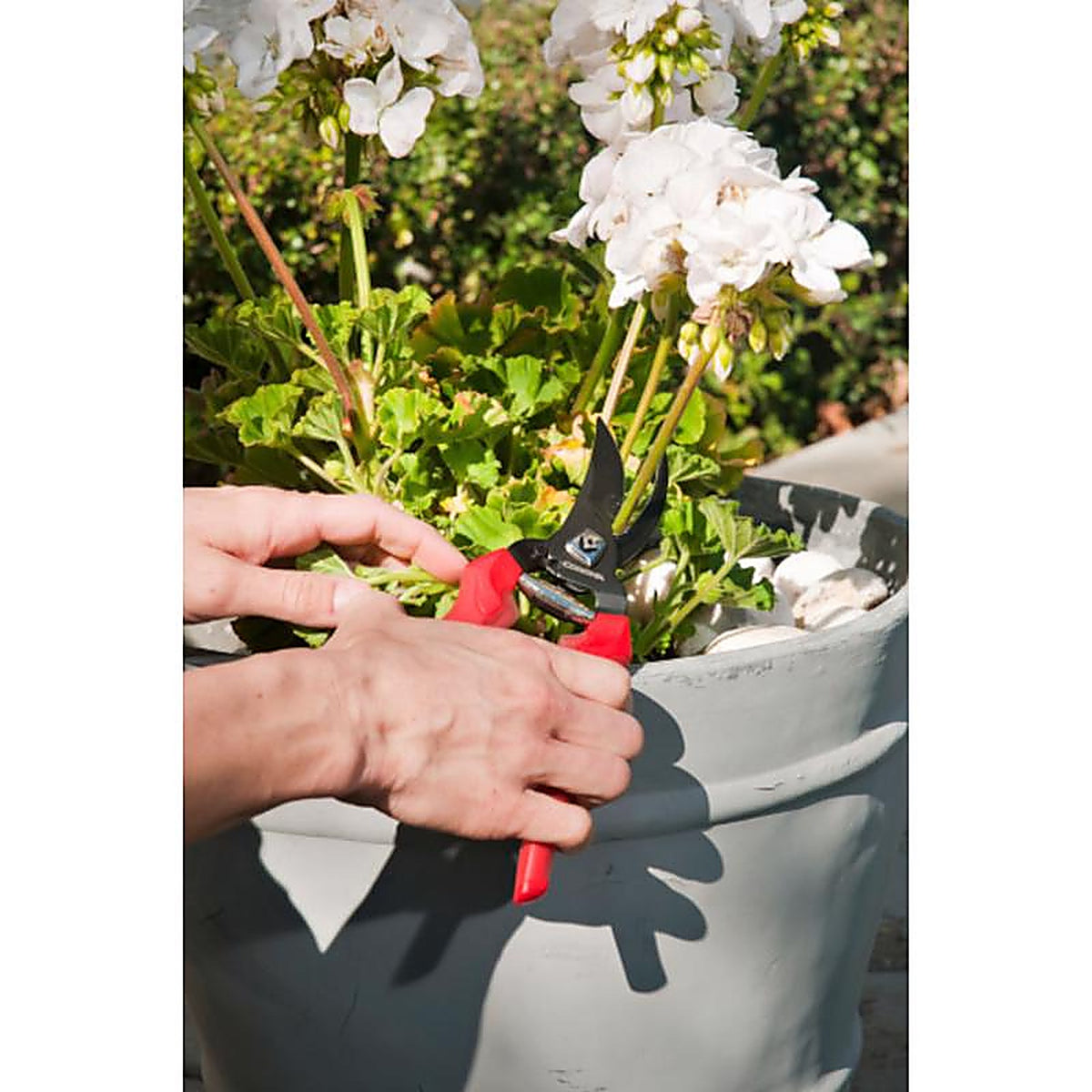 Corona BP3214D ComfortGEL 4-1/2 in. Stainless Steel Bypass Pruners