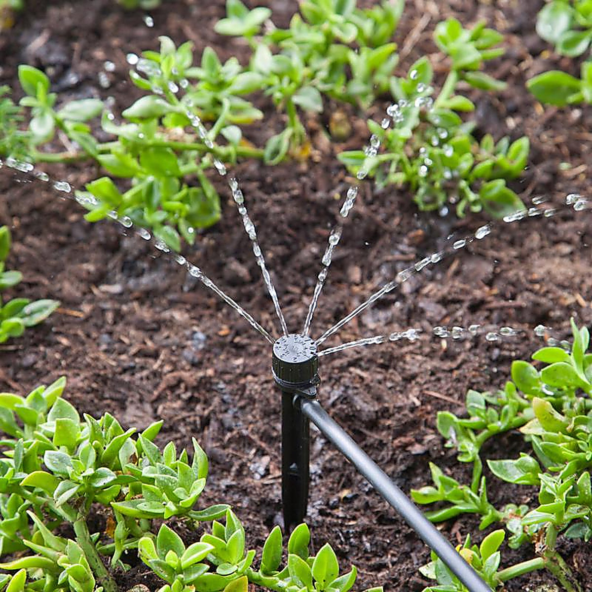 Raindrip A155CPUB Drip Irrigation Self-Piercing Clamp 1/Pack